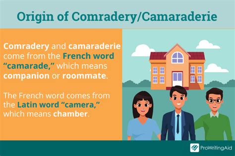 commadorie|CAMARADERIE definition in American English .
